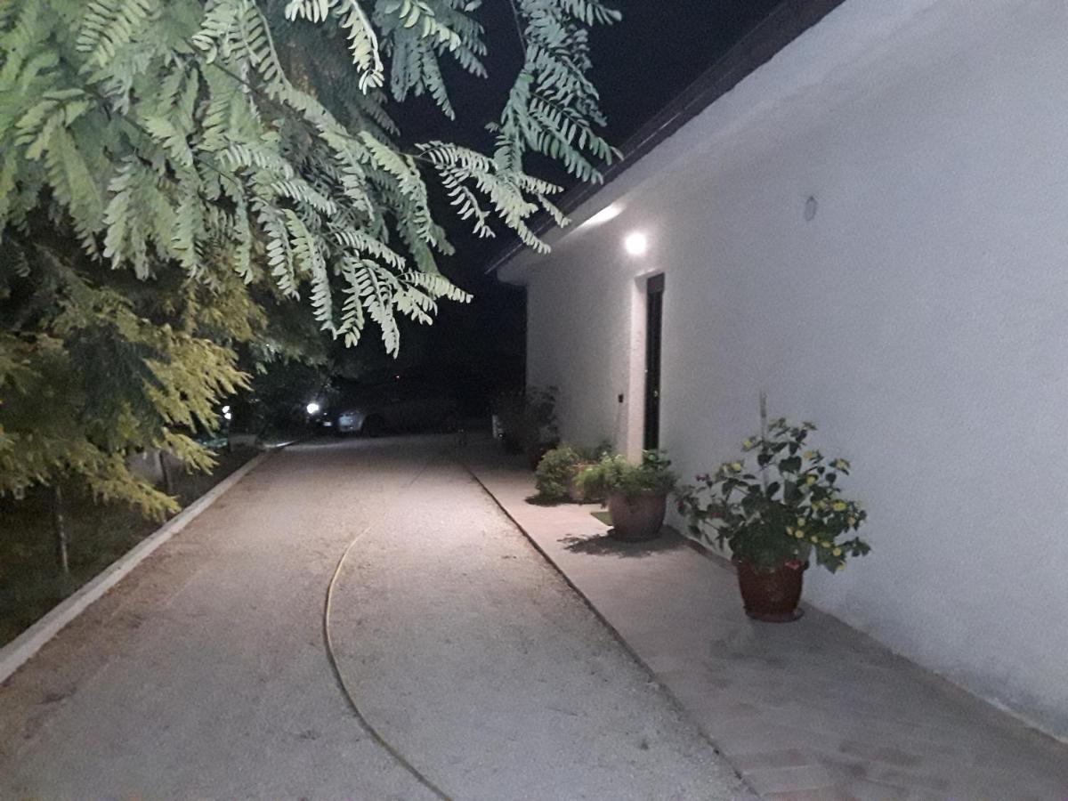 La Casa Nel Verde Larino Екстериор снимка