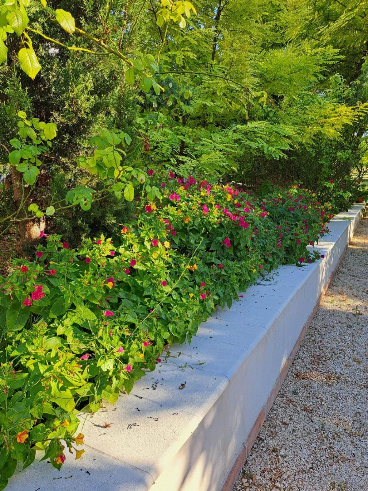 La Casa Nel Verde Larino Екстериор снимка
